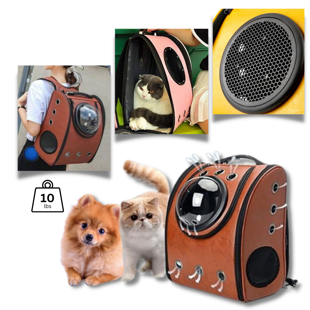 Cat Travel Backpack - Ozerty