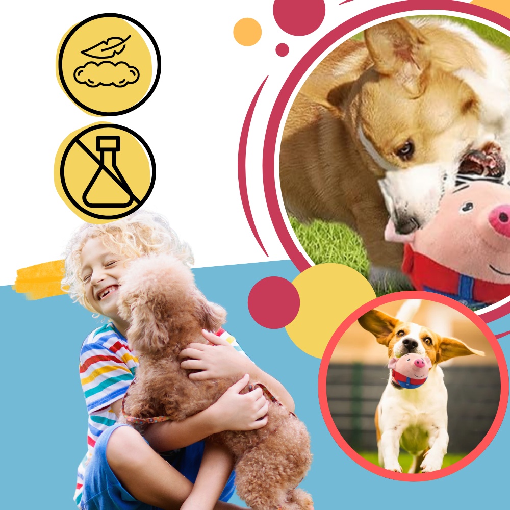 Paw Bounce Sensor Toy - Ozerty