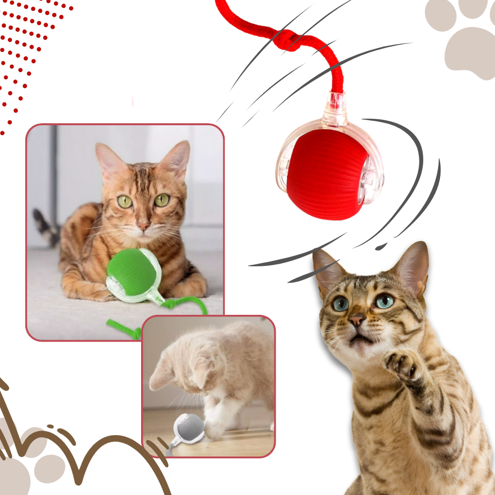 Smart Interactive Cats Ball Toy - Ozerty