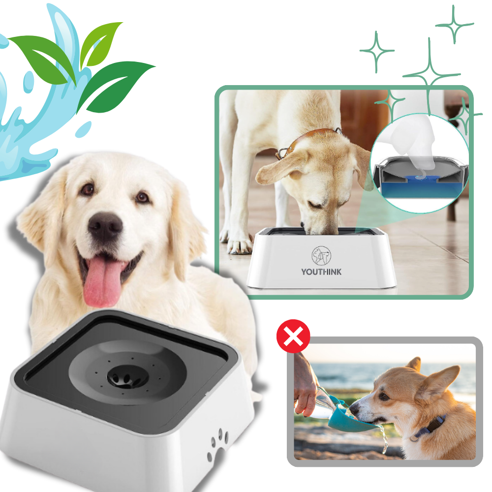 Splash-Free Water Bowl For Dogs - Ozerty